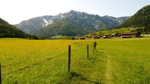 Tiroli út