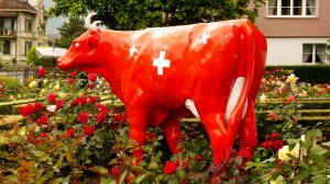 1:1 méretarányú vörös tehén
