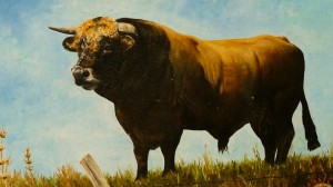 Aubrac bika - festményen
